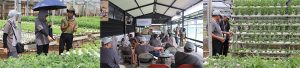 Persiapan Pensiun Karyawan PT Inalum