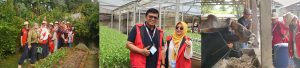 Training MPP PT Pertamina Hulu Rokan