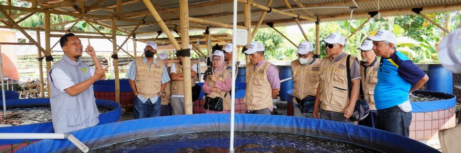 Pelatihan Budidaya Ikan Air Tawar Untuk Pensiunan